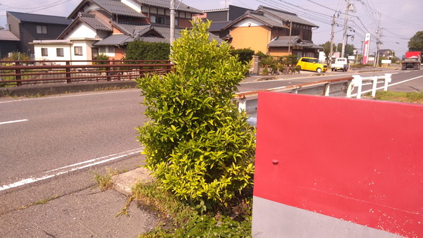 2025年08月29日、09時00分03秒