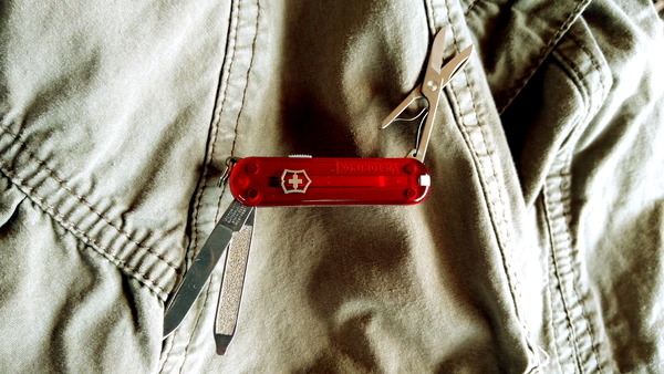 2025年03月10日、11時08分16秒