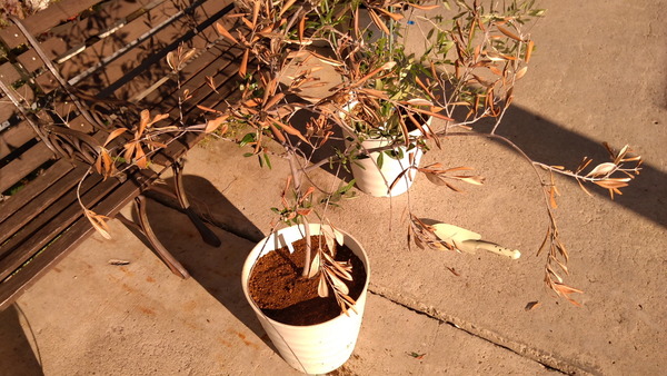 2025年10月29日、15時12分43秒