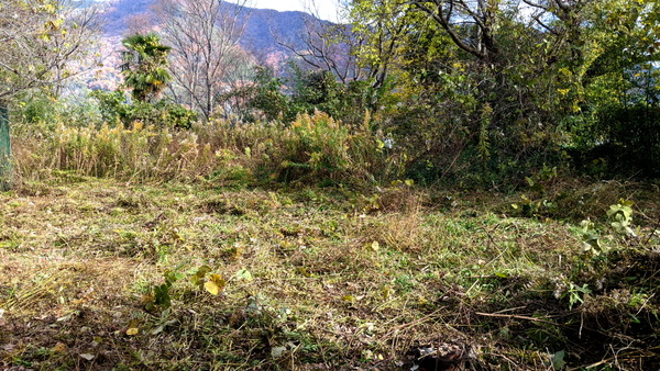 2023年12月09日、10時59分04秒