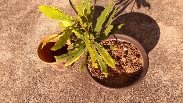 2025年12月06日、14時16分24秒