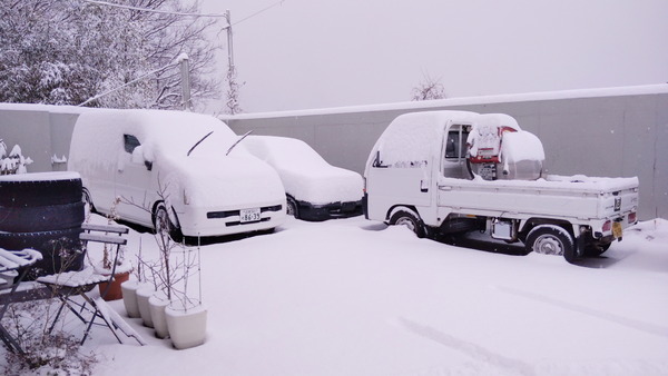 2025年02月08日、07時49分26秒