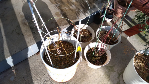 2024年12月19日、15時14分29秒