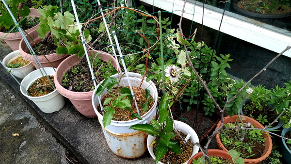 2024年06月24日、16時40分53秒