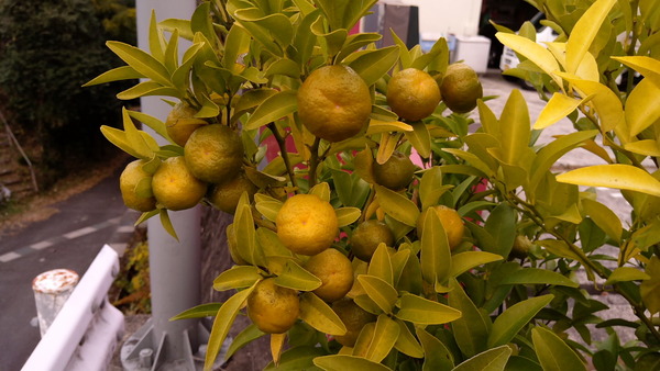 2025年12月01日、15時55分18秒