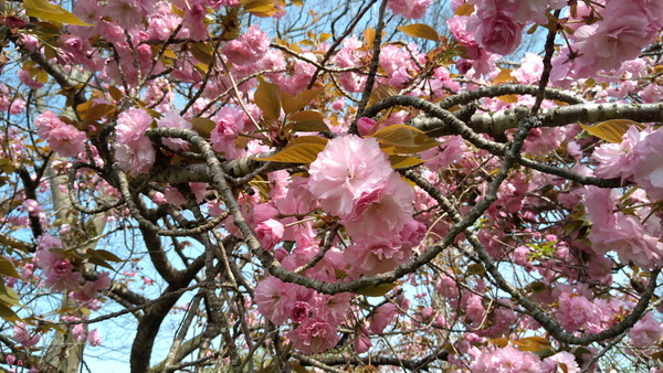 2025年04月19日、08時57分10秒