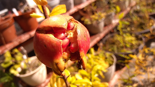 2025年11月03日、11時24分54秒