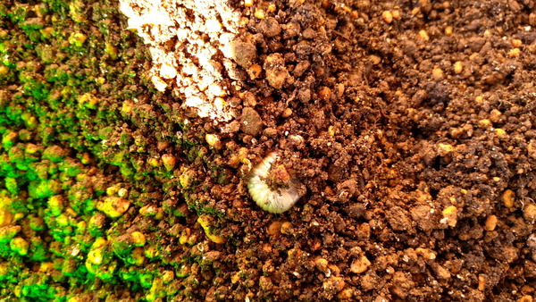 2025年10月29日、15時17分02秒