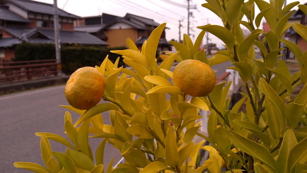 2025年12月01日、15時55分07秒