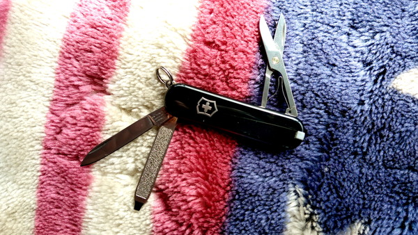 2025年03月12日、10時38分18秒