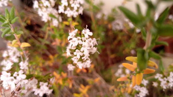 2025年05月16日、17時27分52秒