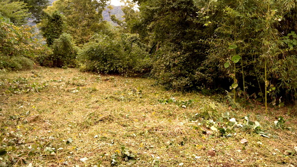 2025年10月24日、13時49分52秒