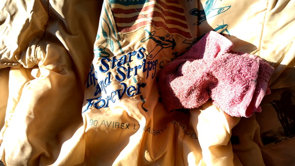 2025年12月29日、08時46分25秒