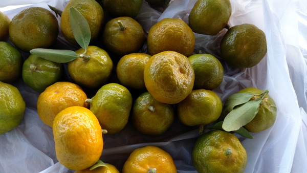 2025年12月05日、14時19分08秒