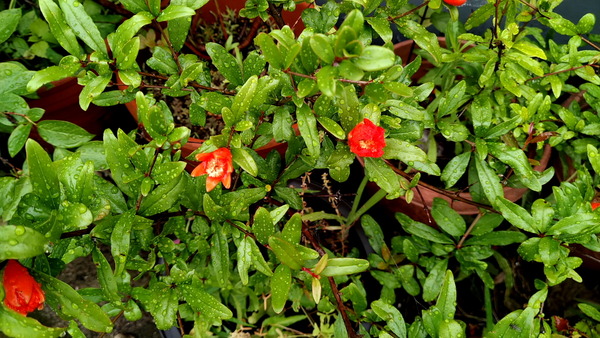 2024年06月20日、17時00分15秒