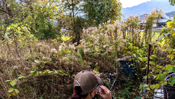 2023年12月09日、09時53分12秒