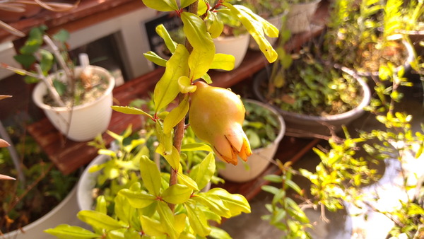 2025年08月05日、08時57分33秒