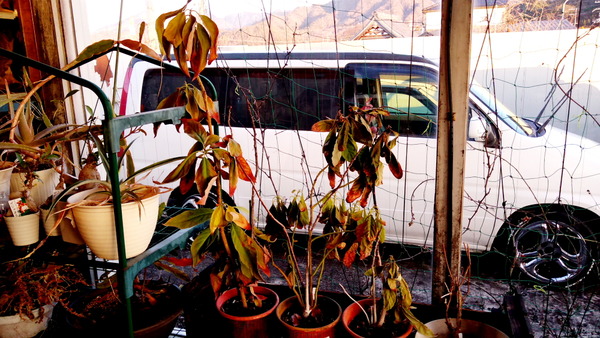 2025年02月05日、17時06分41秒