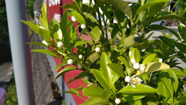 2025年05月20日、16時07分45秒