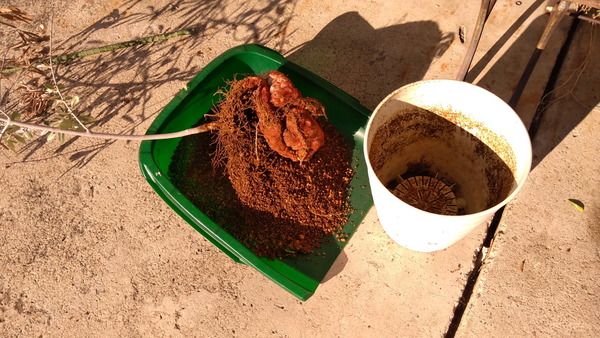 2025年10月29日、15時03分48秒