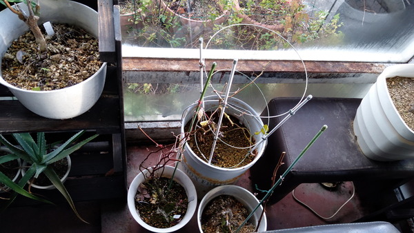 2024年12月19日、15時22分16秒