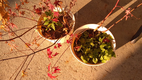 2025年11月15日、15時38分27秒