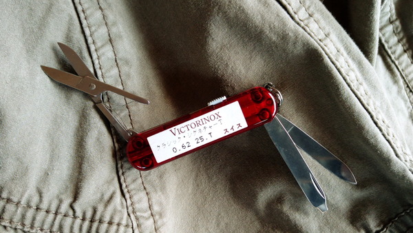 2025年03月10日、11時08分22秒