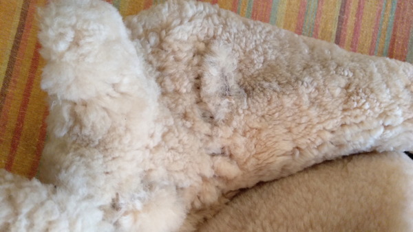 2025年03月02日、10時41分47秒