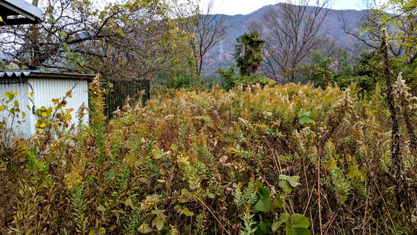 2023年12月09日、09時53分34秒