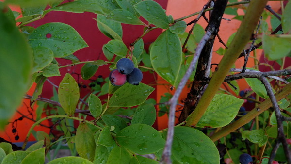 2025年08月19日、08時03分25秒