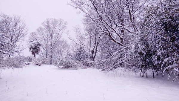 2025年02月08日、07時50分54秒