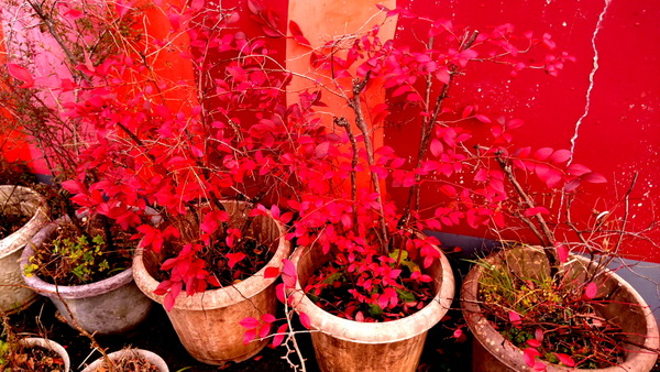 2025年12月01日、15時53分27秒