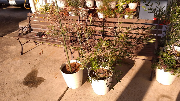 2025年10月29日、15時01分11秒