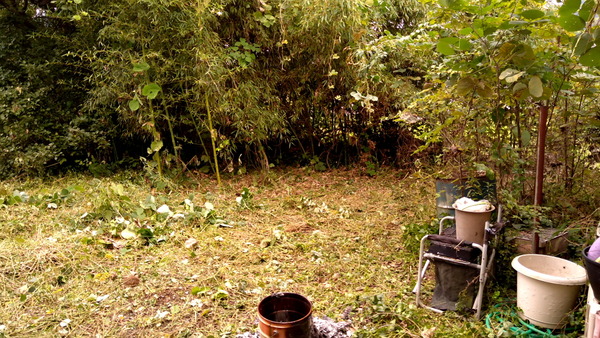 2025年10月24日、13時50分01秒