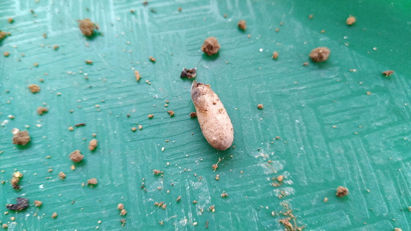 2024年07月11日、15時20分58秒