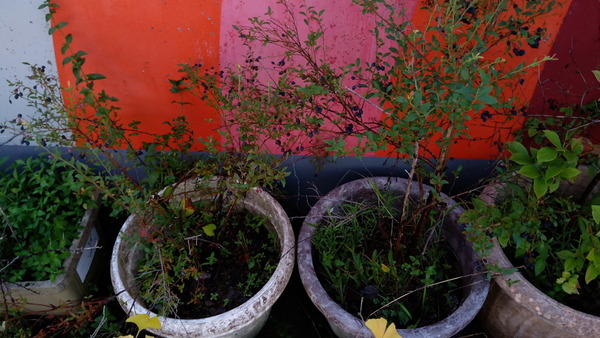 2025年08月19日、08時03分30秒