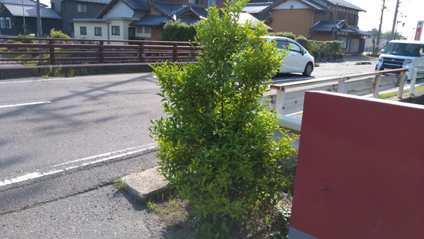 2025年05月20日、16時08分53秒