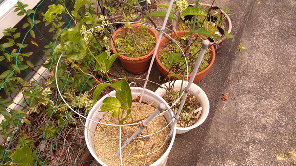 2025年07月10日、11時27分29秒