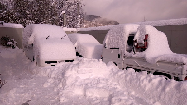 2025年02月08日、14時59分19秒