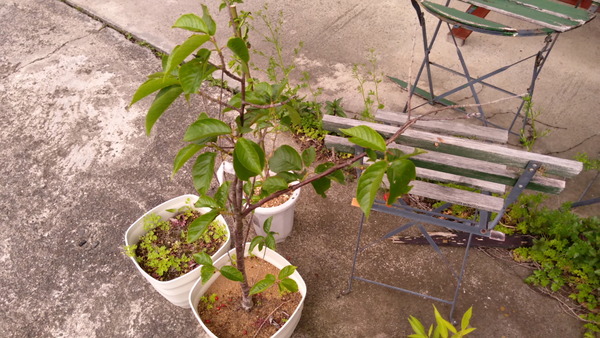 2025年05月16日、17時24分47秒