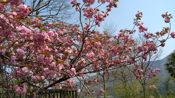 2025年04月19日、08時57分03秒