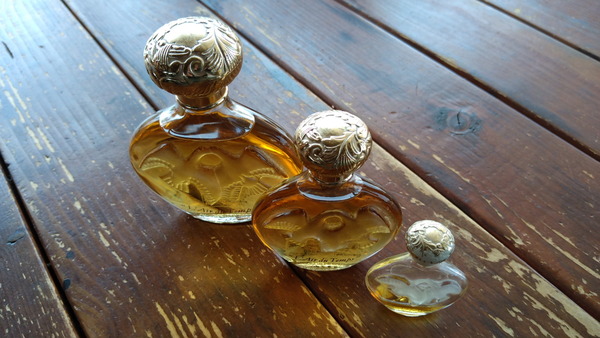 2025年04月07日、10時56分45秒