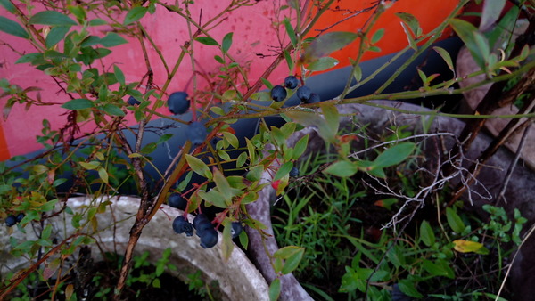 2025年08月19日、08時04分06秒