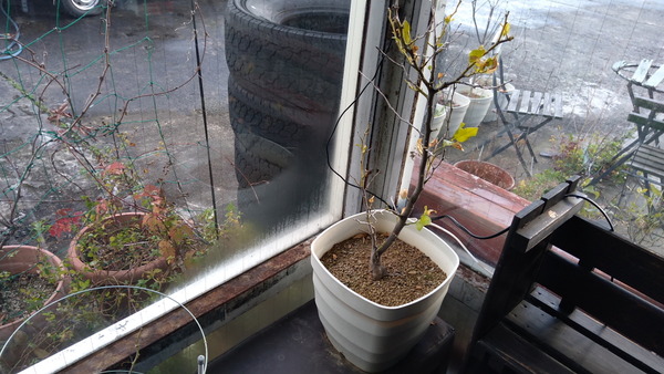 2024年12月19日、15時22分19秒