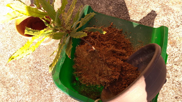 2025年12月06日、14時26分24秒