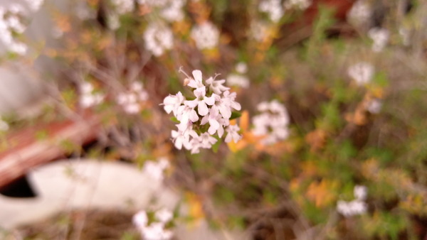 2025年05月16日、17時27分38秒