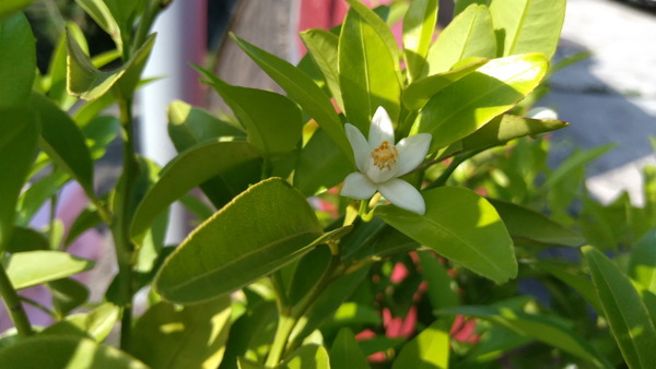 2025年05月20日、16時08分33秒