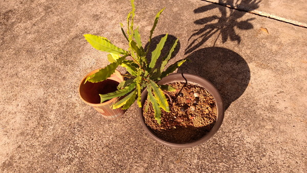 2025年12月06日、14時16分18秒