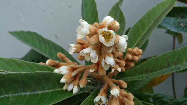 2025年11月17日、15時14分48秒