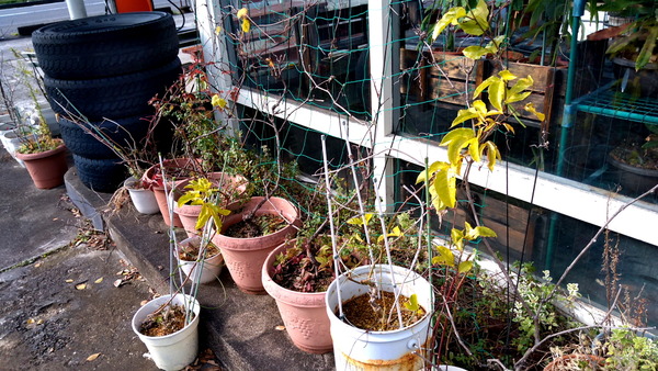 2024年12月11日、11時05分30秒